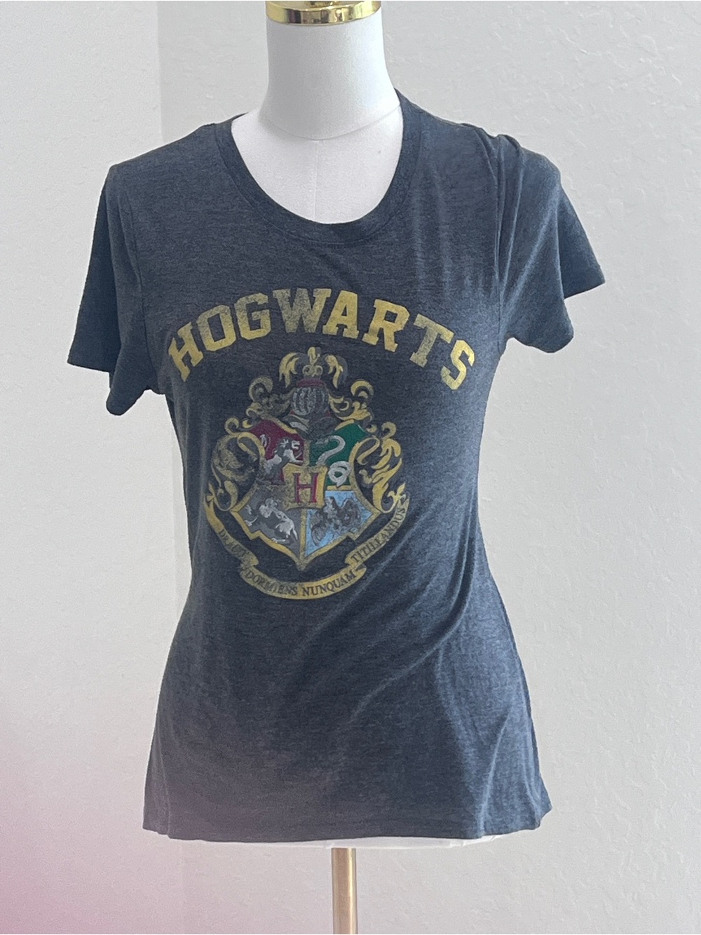 Harry Potter Distressed